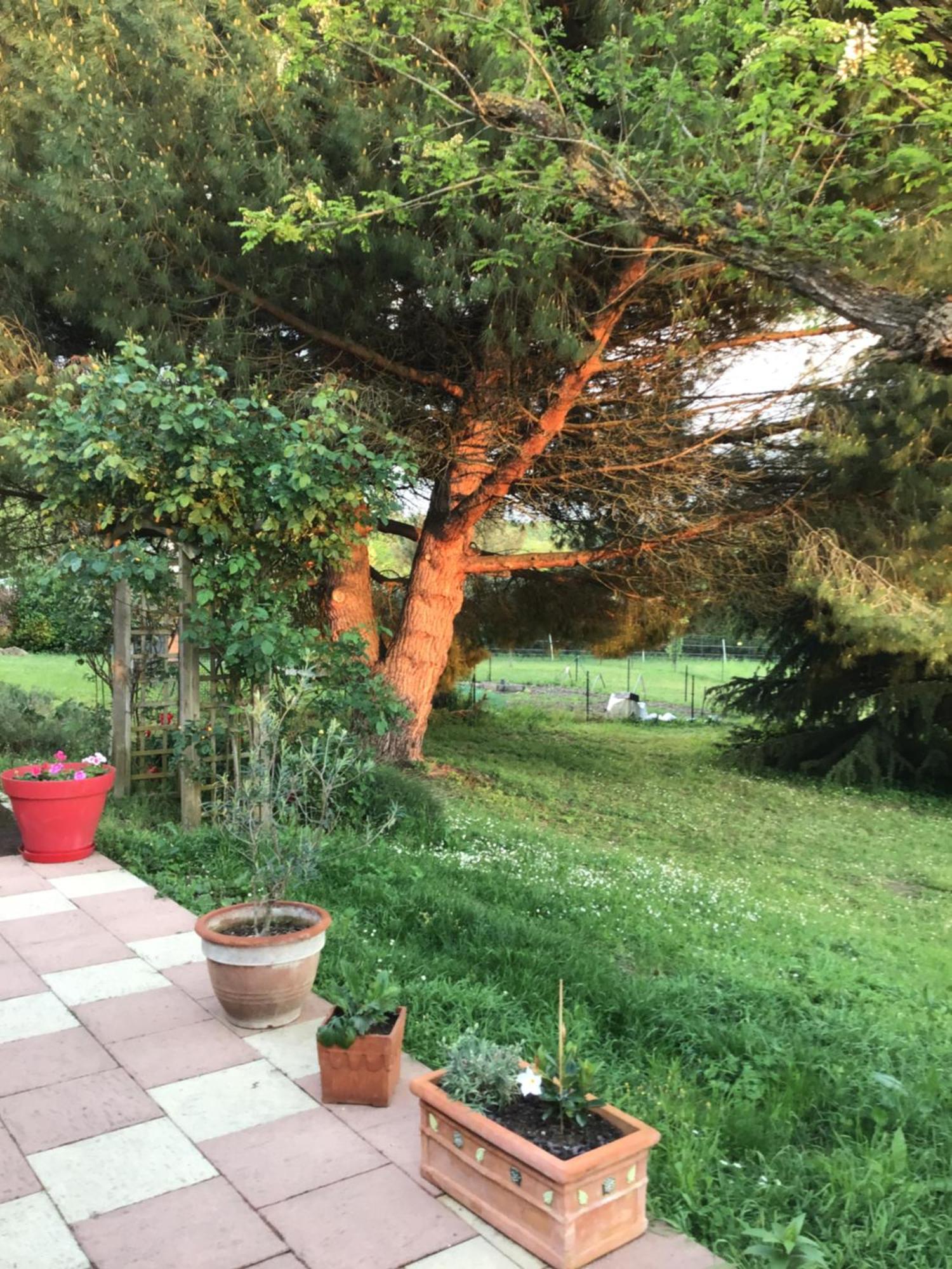 Des Roux Et Des Pious Suite De 35 A 60 M2 Et 3 Chambres Pour Groupe De 2 A 6 Personnes Civray-de-Touraine Dış mekan fotoğraf