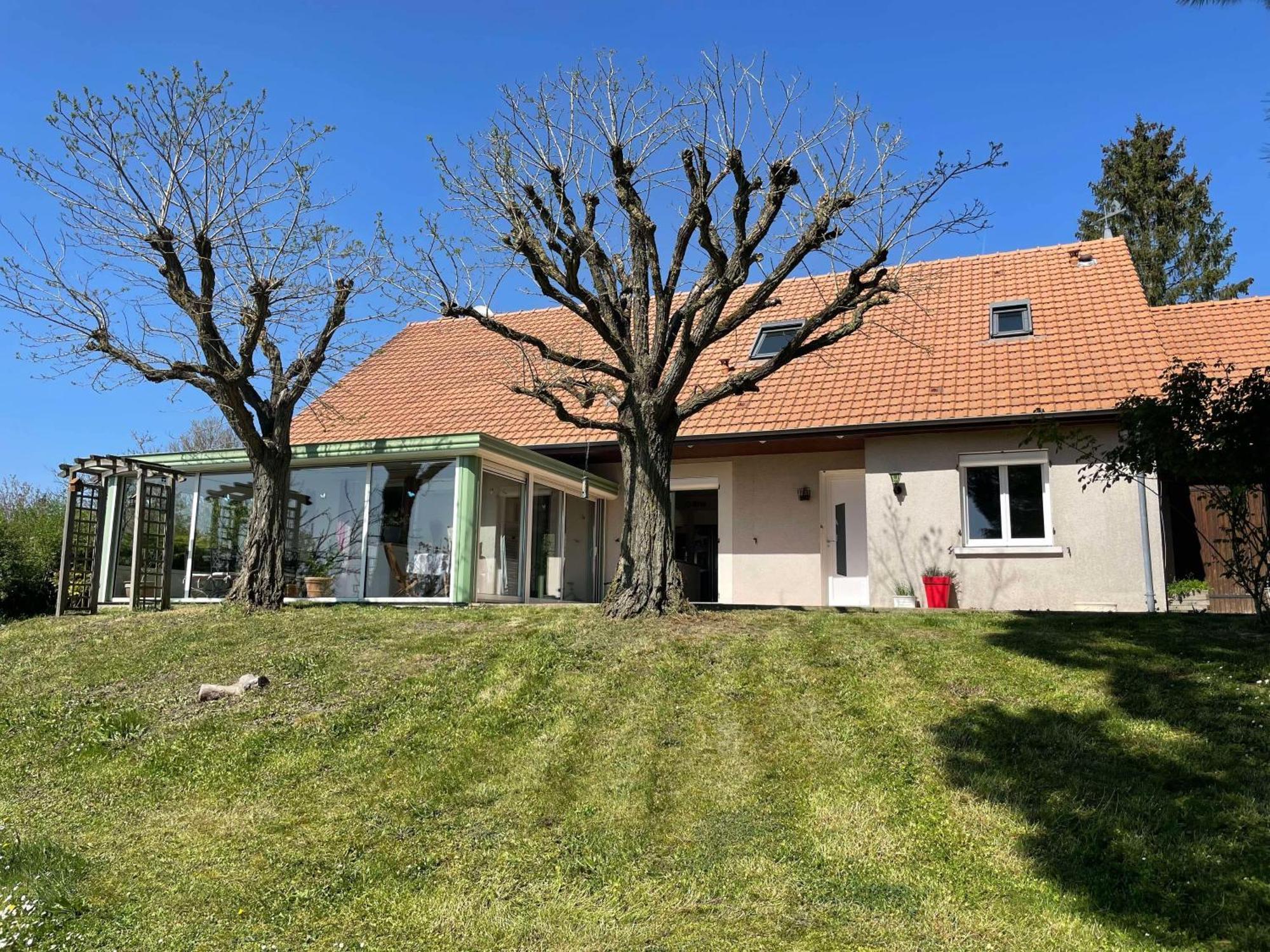 Des Roux Et Des Pious Suite De 35 A 60 M2 Et 3 Chambres Pour Groupe De 2 A 6 Personnes Civray-de-Touraine Dış mekan fotoğraf