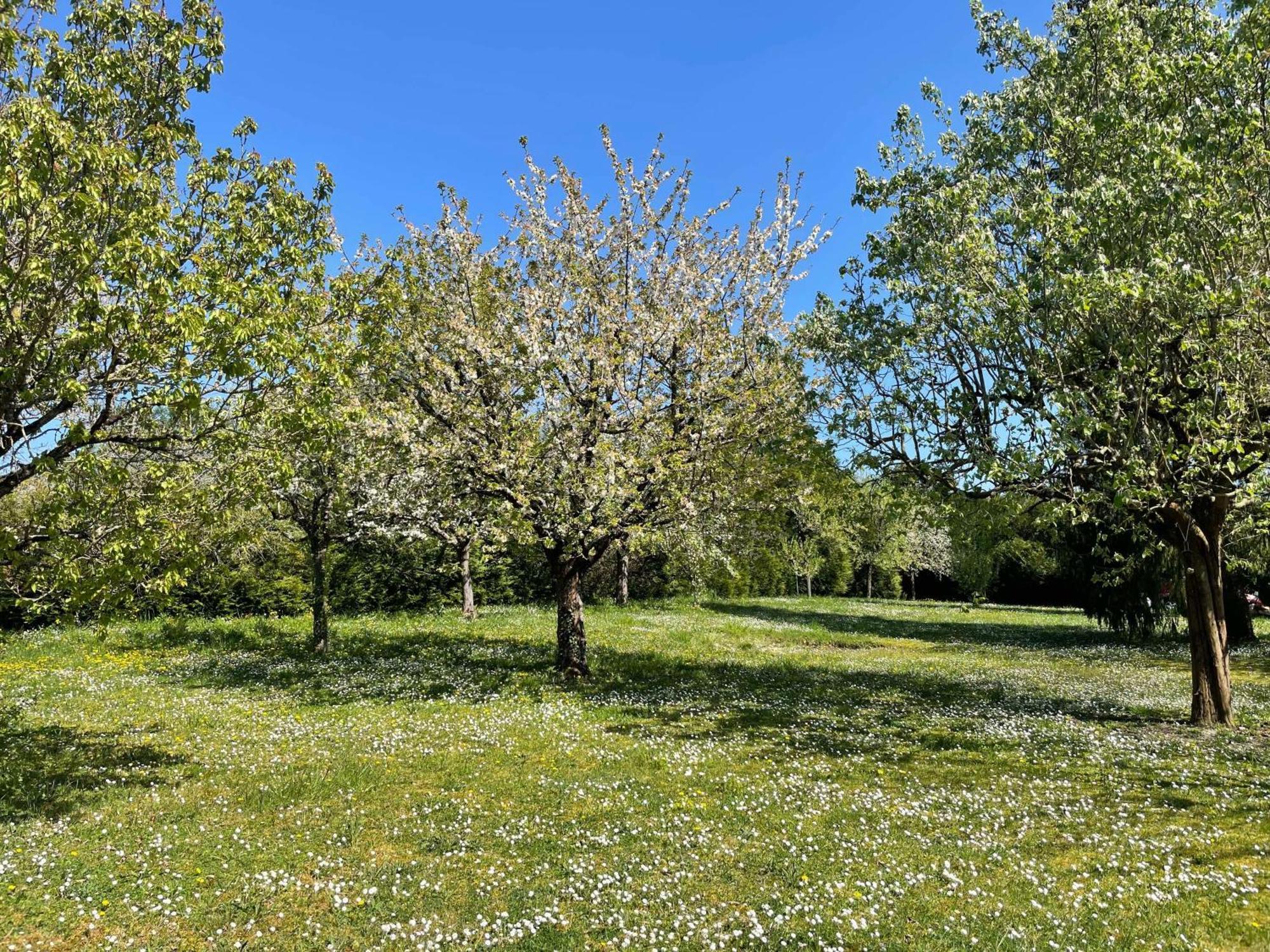 Des Roux Et Des Pious Suite De 35 A 60 M2 Et 3 Chambres Pour Groupe De 2 A 6 Personnes Civray-de-Touraine Dış mekan fotoğraf